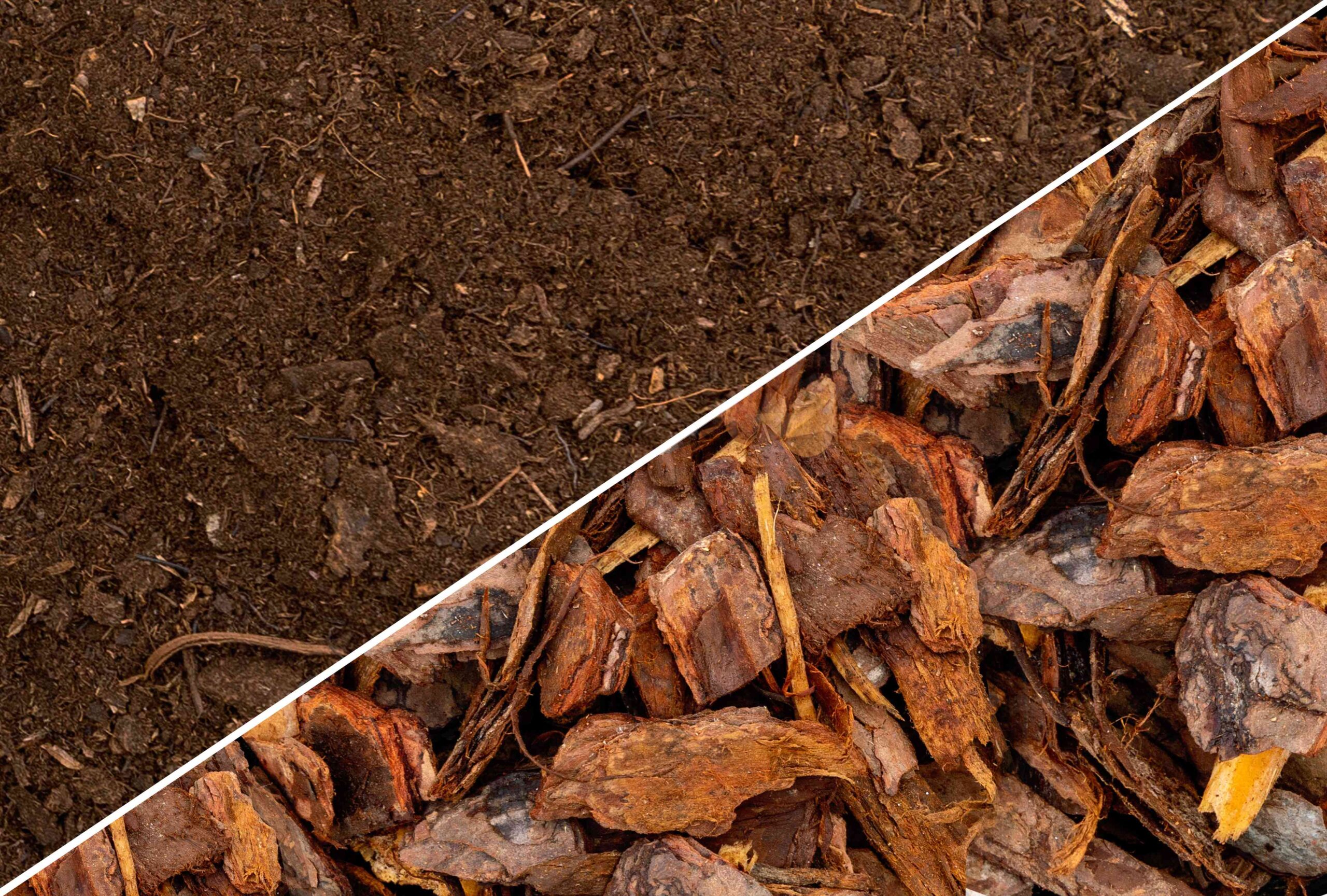 Compost vs. Mulch: What is the Distinction?