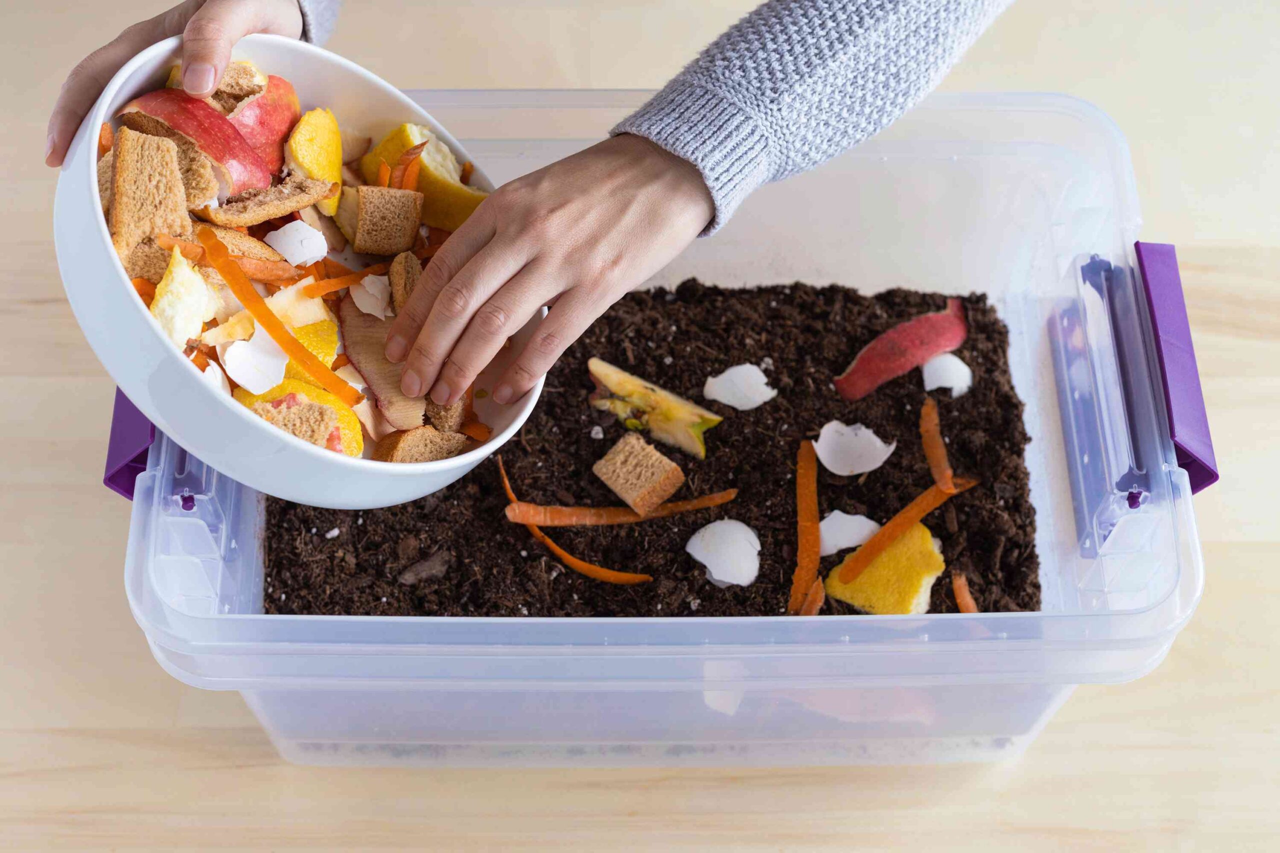 How one can Compost in an Condominium