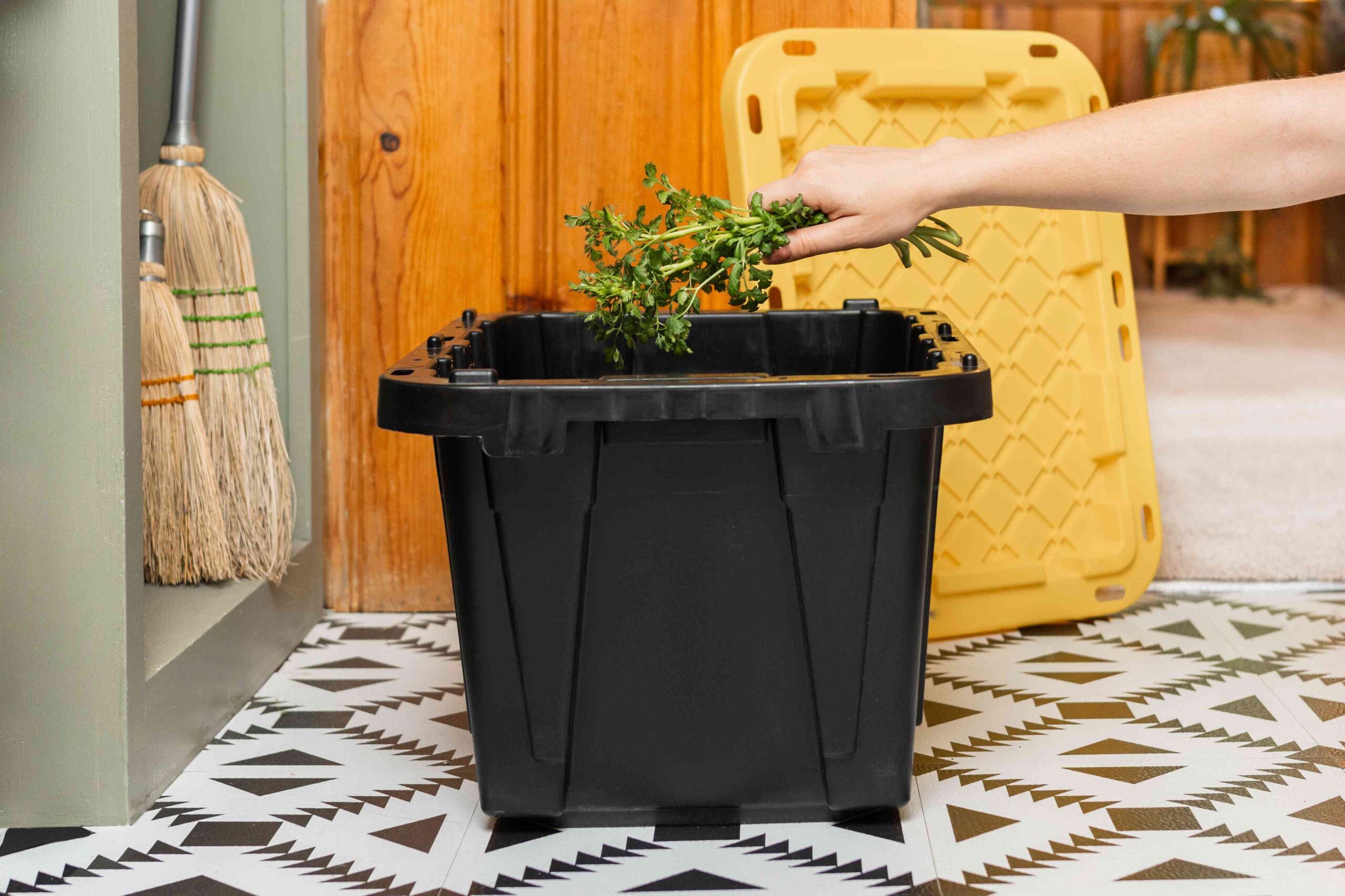 Learn how to Begin a Worm Bin and Begin Vermicomposting